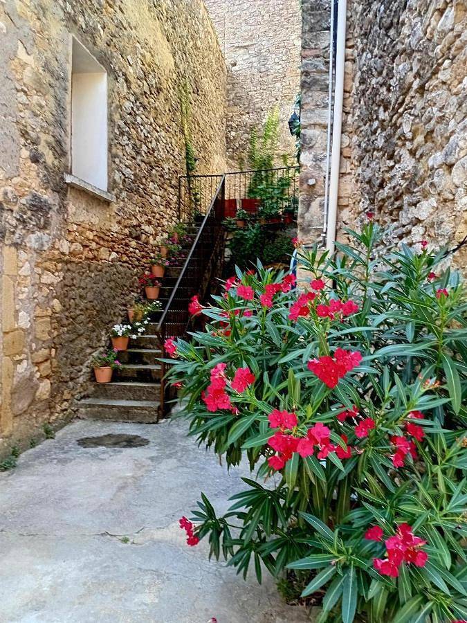 Location de vacances pour 10 personnes, avec vue et terrasse à Saint-André-de-Roquepertuis - 3