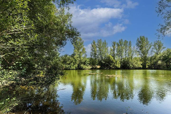 Gîte pour 6 personnes, avec jardin et vue sur le lac ainsi que terrasse et piscine, animaux acceptés dans le Lot-et-Garonne - 4