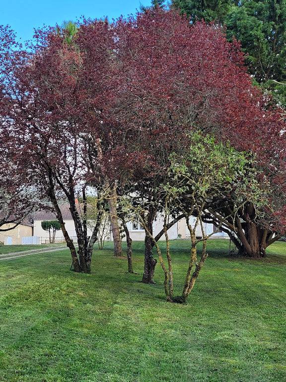 Gîte pour 4 personnes, avec balcon et jardin à Thésée - 2