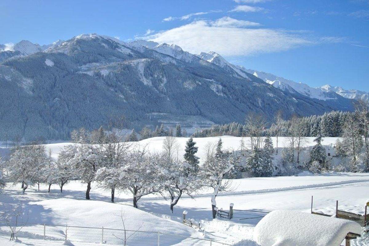 Bauernhaus Hollersbach in Hollersbach im Pinzgau, Pinzgau