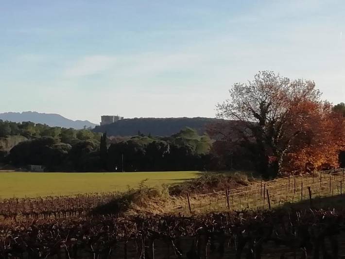 Gîte pour 6 personnes, avec jardin et piscine à Suze-la-Rousse - 4