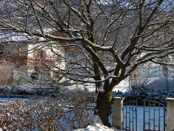 Ferienhaus für 11 Personen in Schruns, Golm im Montafon, Bild 2