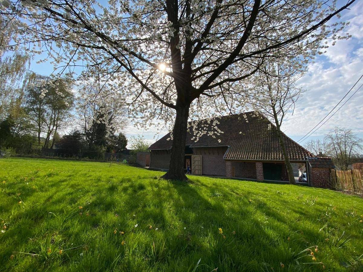 Seven-Bedroom House in Steenhuize-Wijnhuize, Herzele
