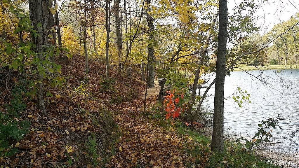 Cabin in Southern Illinois - Hot Tub - Romantikurlaub -Shawnee National Forest in Union County (IL)