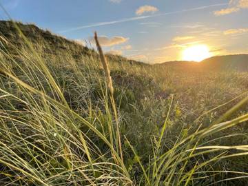 Ferienhaus für 6 Personen in Nørre Lyngvig, Hvide Sande, Bild 3