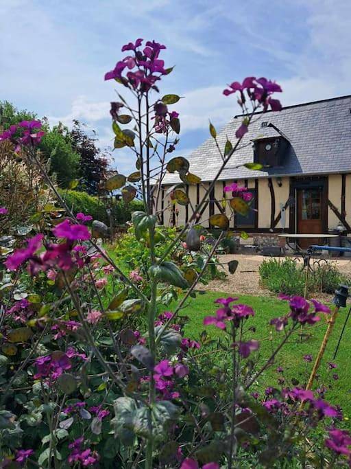 Gîte pour 4 personnes, avec jardin et terrasse dans Illeville-sur-Montfort
