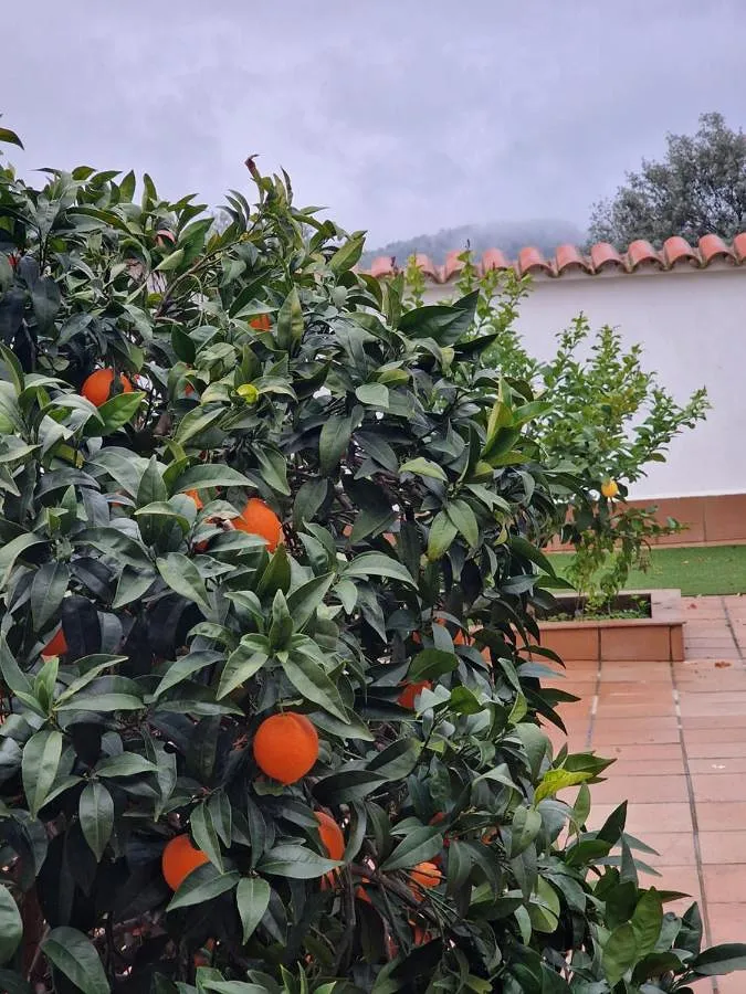 Ferienwohnung für 6 Personen, mit Ausblick und Garten, mit Haustier - 1