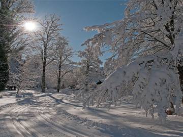 Hotel für 2 Personen in Kreuth, Alpenland Tegernsee Schliersee, Bild 3