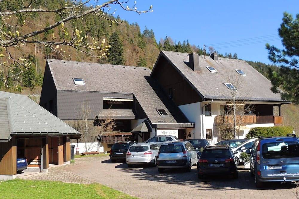 Ganze Wohnung, Apartment C1 f. 5 Pers. + Kleinkind in Suedlicher Schwarzwald, Sankt Blasien