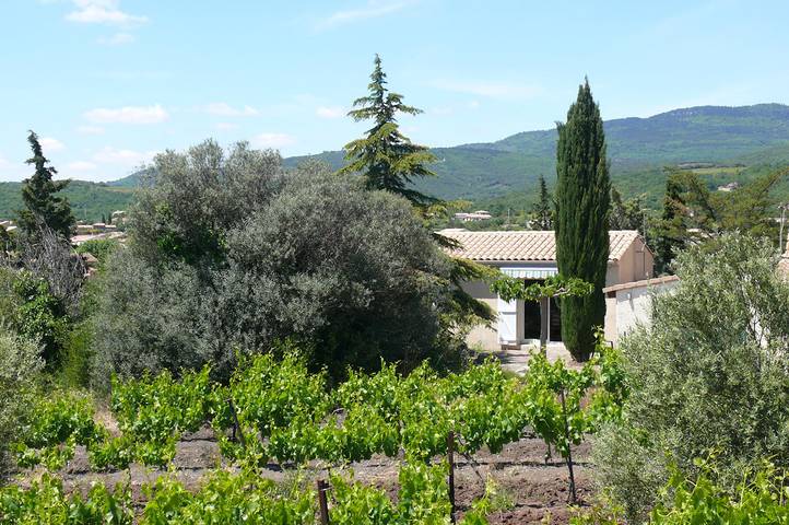 Gîte pour 4 personnes, avec terrasse et jardin dans l' Hérault - 3