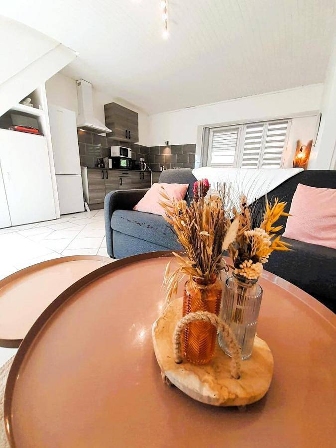 Gîte pour 5 personnes, avec jardin et terrasse à Reuilly - 4