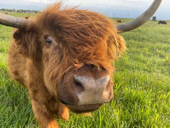 Ferienwohnung für 3 Personen, mit Balkon und Sauna in Langenhorn - 4