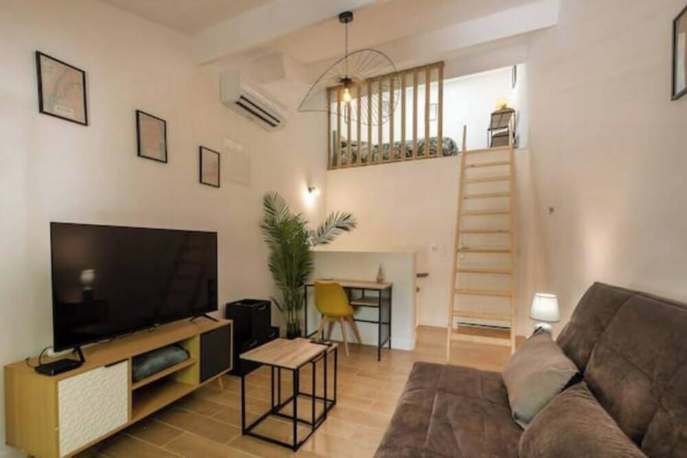 Entire apartment, Le Nostradamus - Magnificent downtown apartment with parking in Salon-de-Provence, Aix-en-Provence region