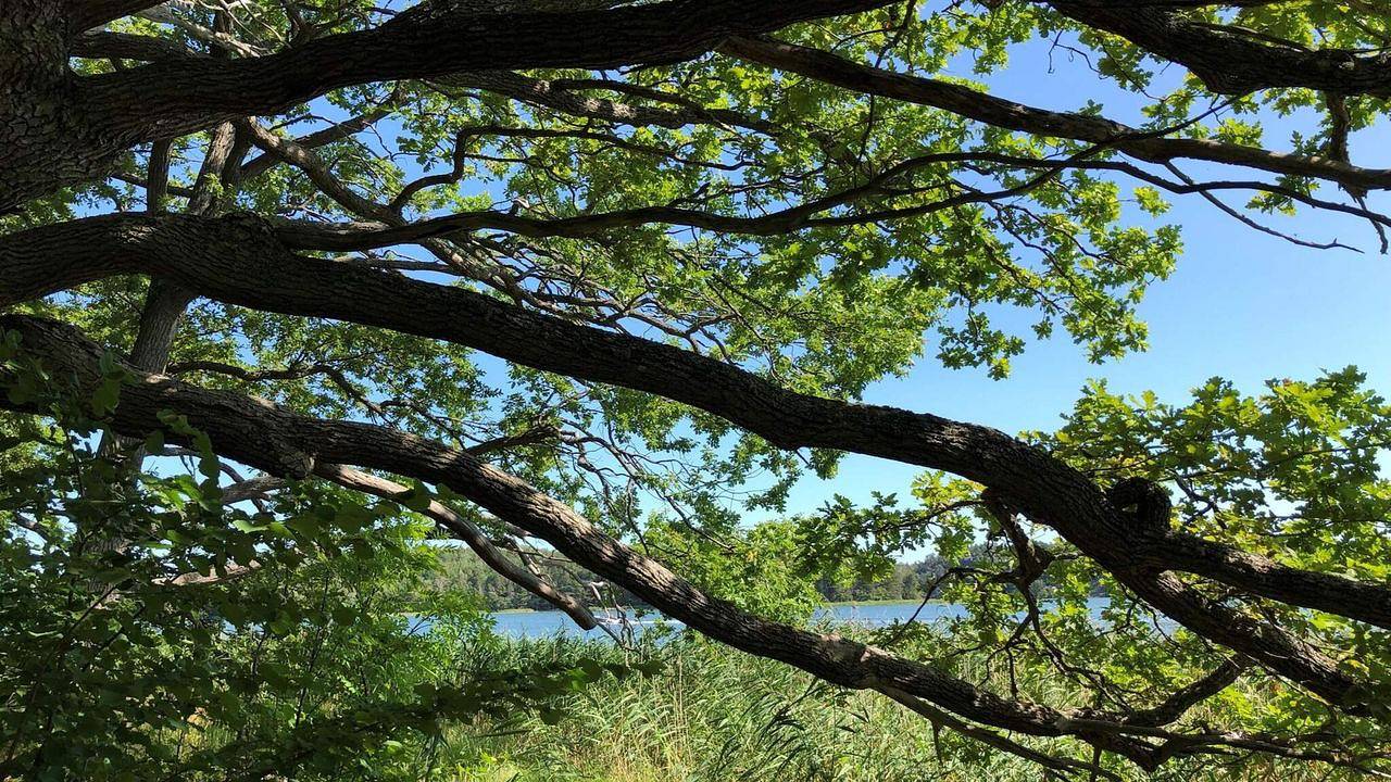 Ferienhaus für 5 Personen (60 m²) in Sorunda in Skärlinge fritidsby, Nynäshamn