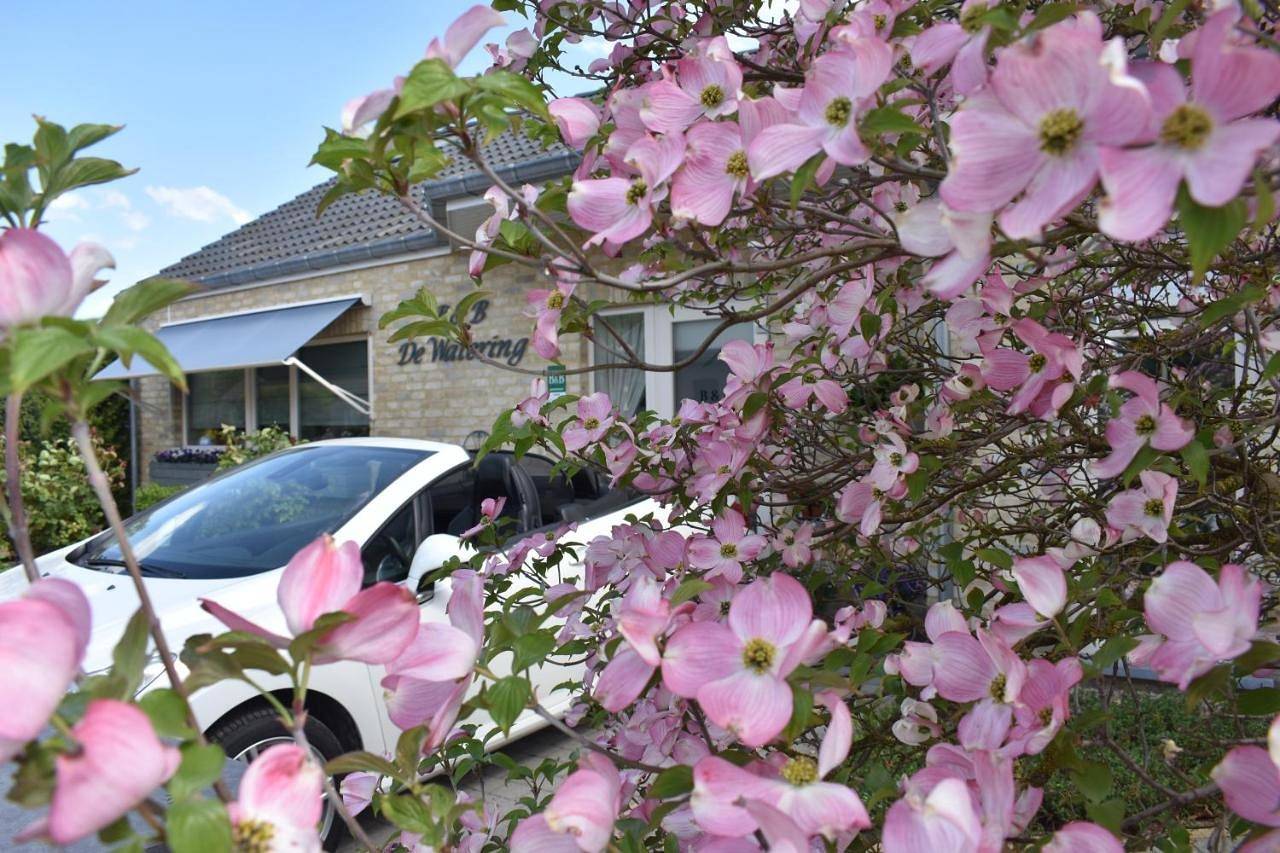 B&B De Watering in Lommel, Limbourg (Belgique)