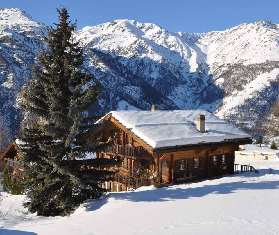 Ganze Ferienwohnung, Chalet Virginia A/B - 7-Bettwohnung 1407 in Grächen, Walliser Alpen