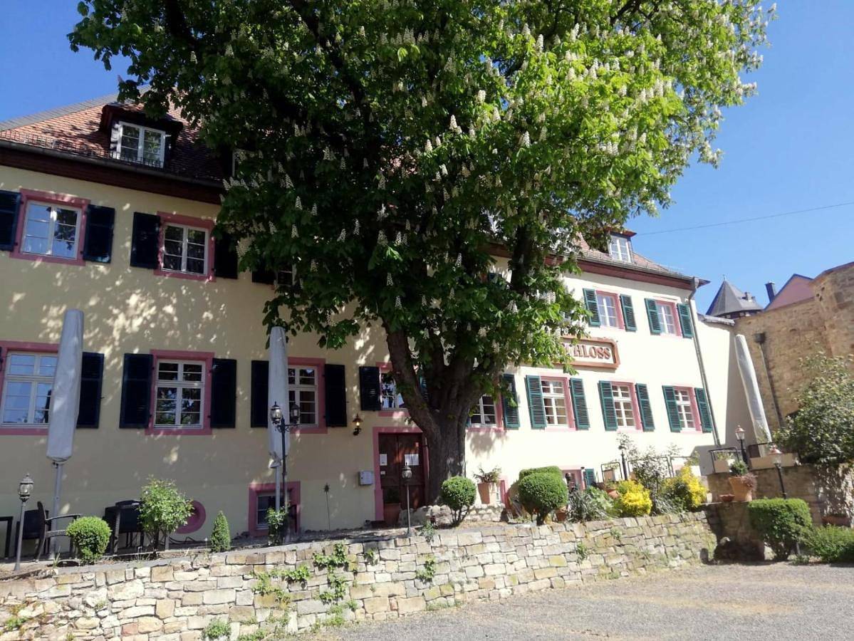 Hotel Am Schloss in Alzey, Kurpfalz