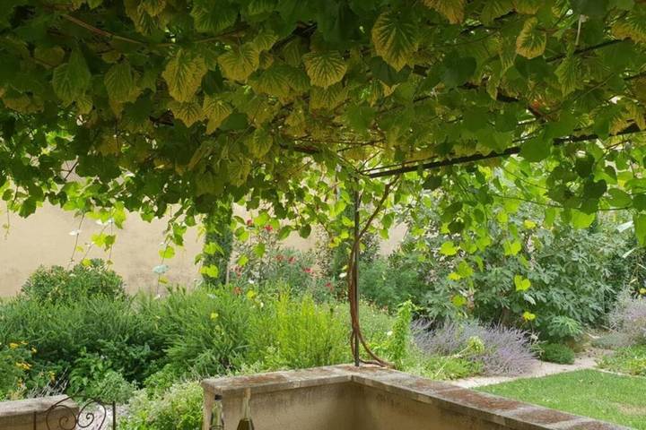 Location de vacances pour 6 personnes à Caderousse - 4