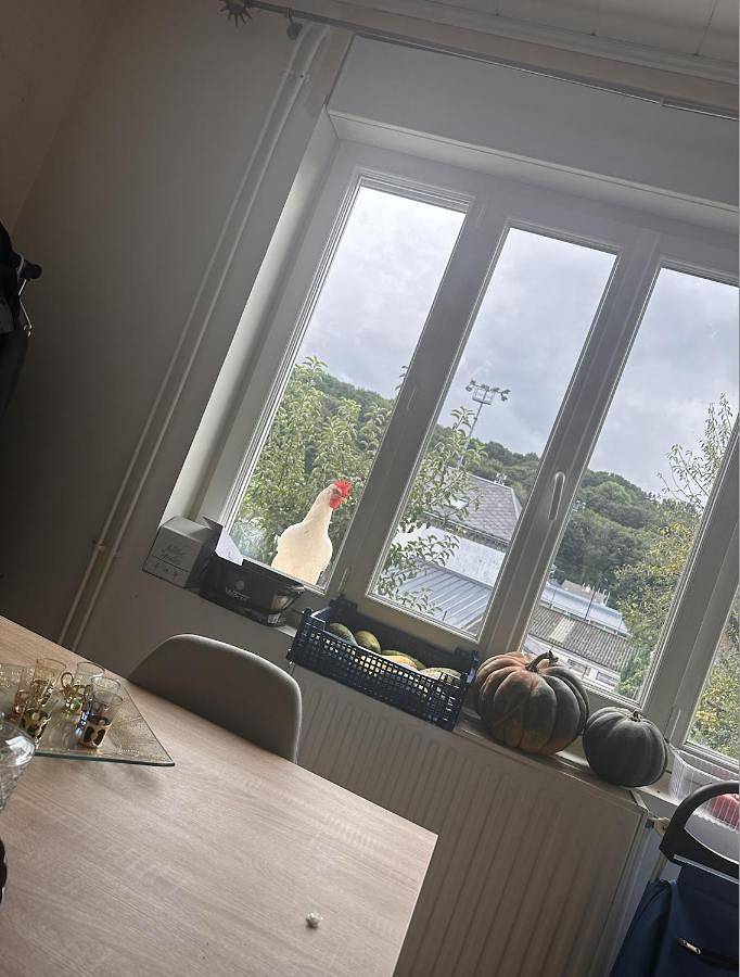 Gîte pour 4 personnes, avec terrasse à Montivilliers - 3