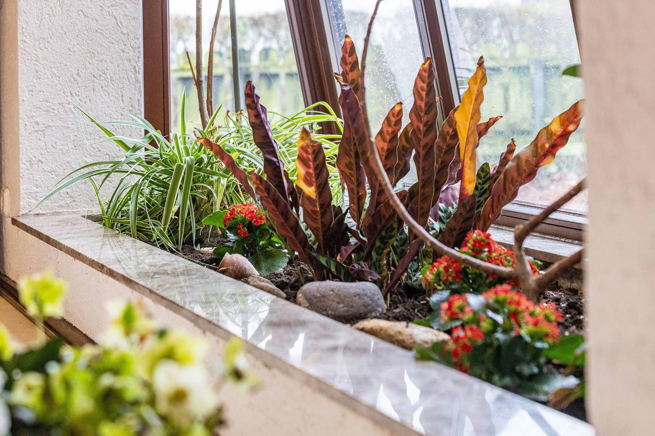 Ferienhaus 'Hebborn' mit privater Terrasse, Gemeinschaftsgarten und Wlan in Bergisch Gladbach, Rheinisch-Bergischer Kreis