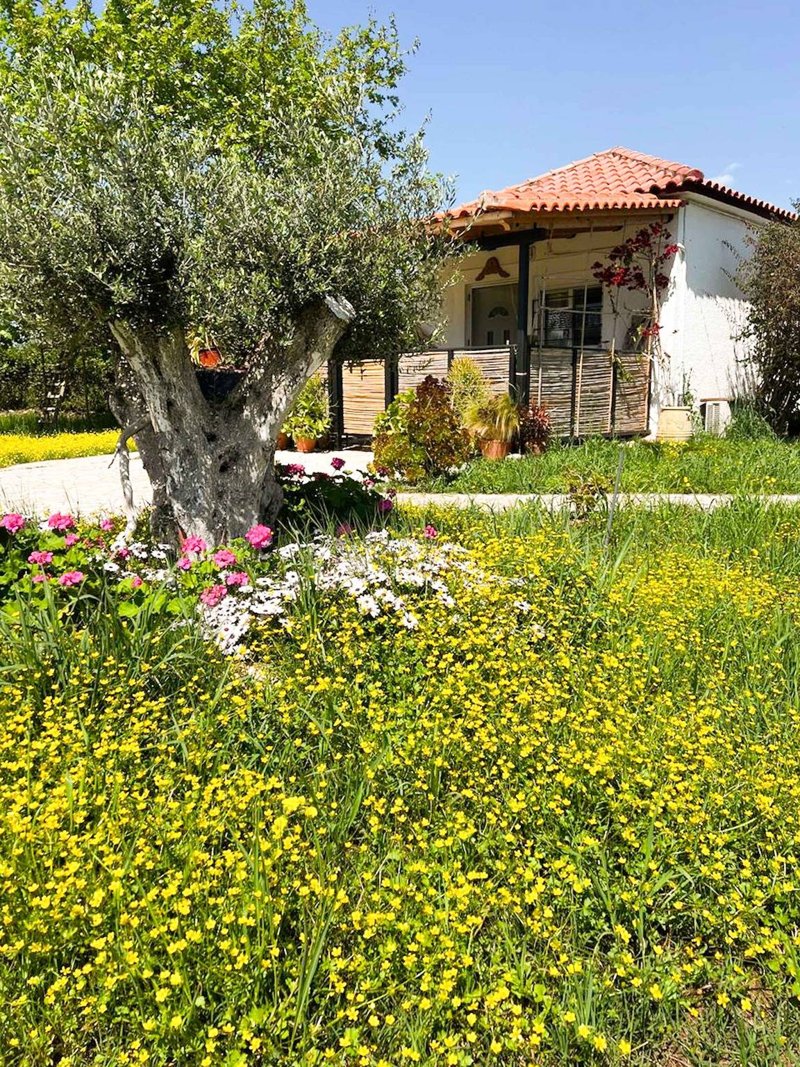 Appartement entier, Petalidi Sunny Home Two - Cozy Garden Escape in Région de Messenia