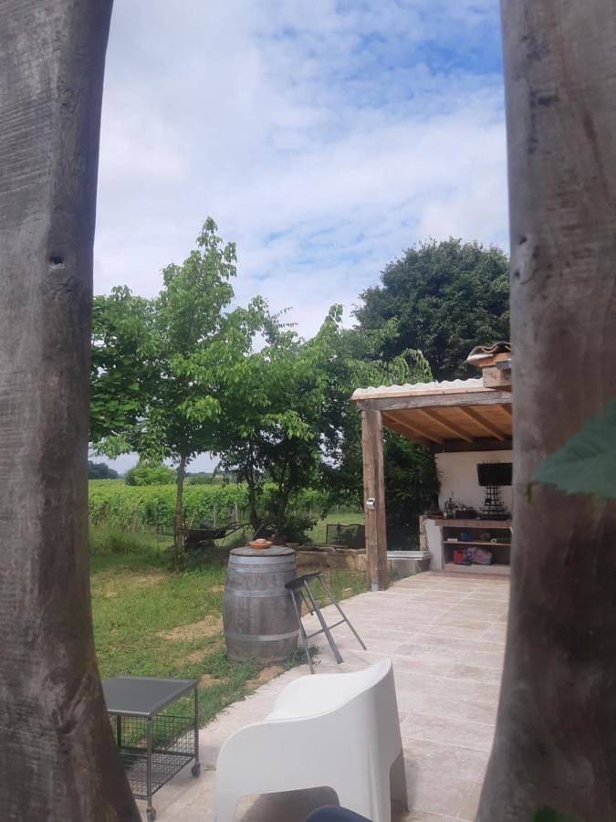 Location de vacances pour 4 personnes, avec vue et jardin à Saint-Sulpice-de-Faleyrens - 4