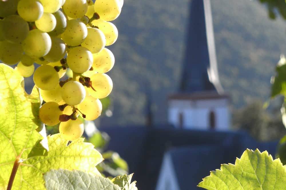 Ganze Wohnung, Neue Ferienwohnung im alten Winzerhaus - Urlaub im Weingut in Klotten, Cochem-Zell