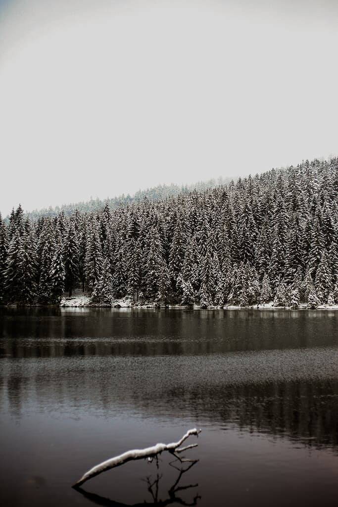 Ferienhaus für 4 Personen, mit Garten und Balkon in Lam - 2