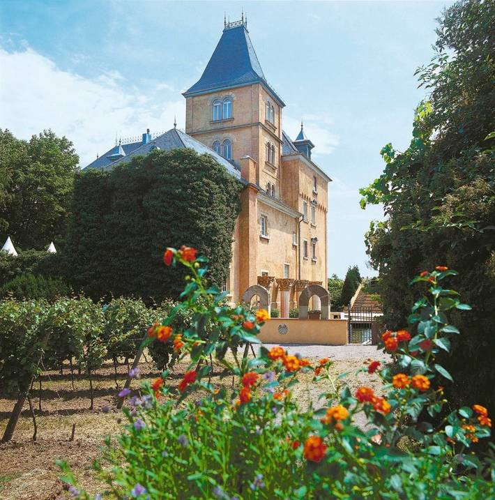 Hotel, mit Terrasse und Garten sowie Sauna und Ausblick in Edesheim