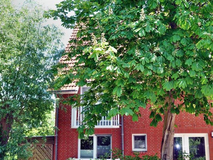 Ganze Ferienwohnung, Haus Wattwurm - Wohnung Seestern in St. Peter-Bad, St. Peter-Ording