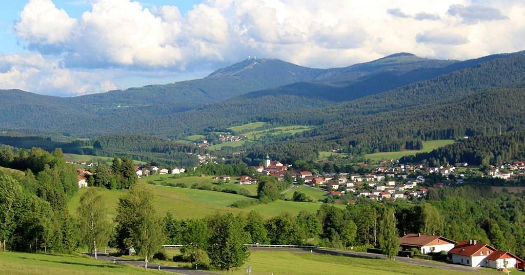 Woidhaisl - Fewo, foto 8