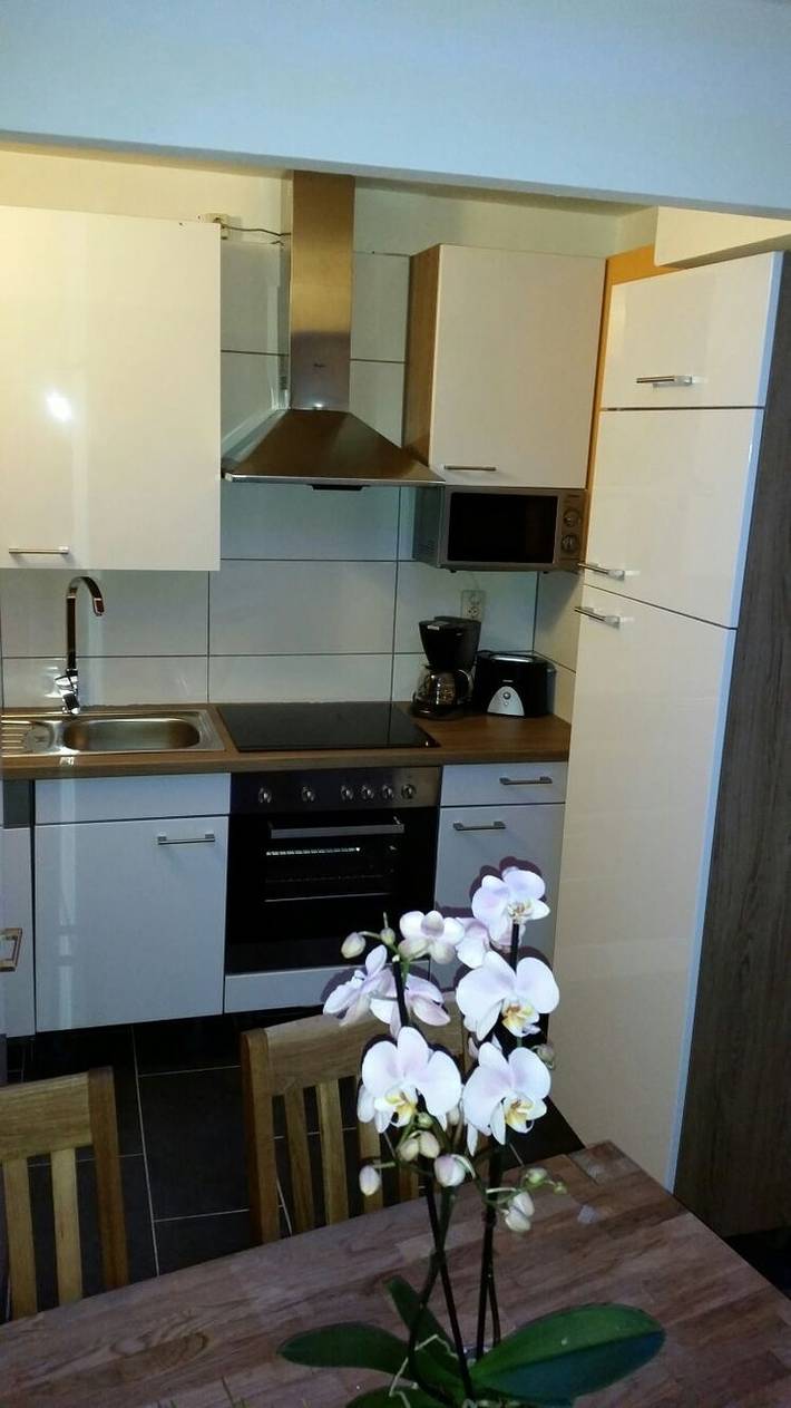 Ferienwohnung für 8 Personen, mit Balkon und Terrasse sowie Garten und Pool in Bad Lauterberg - 3