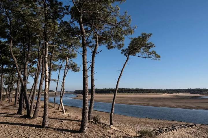 Camping pour 8 personnes, avec piscine et terrasse à Talmont-Saint-Hilaire - 3