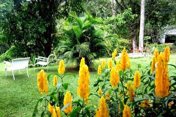 Agriturismo für 22 Personen in Areal, Rio de Janeiro (Bundesstaat), Bild 1