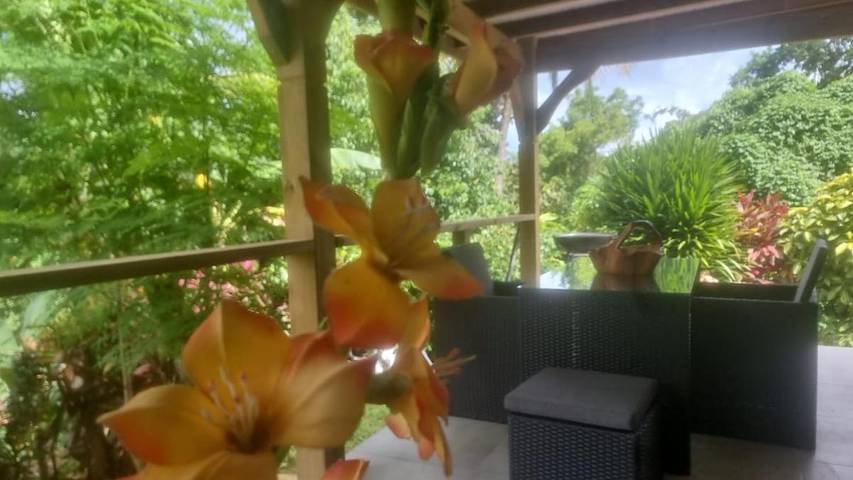 Gîte pour 4 personnes, avec vue et jardin, animaux acceptés à Goyave (Guadeloupe) - 4