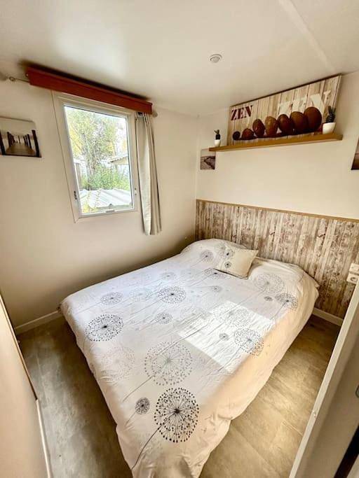 Gîte pour 6 personnes, avec terrasse ainsi que piscine et jacuzzi, animaux acceptés dans la Tamarissière - 2