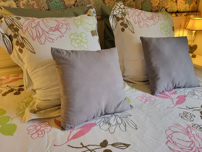 Chambre d’hôte pour 3 personnes, avec jardin en Indre-et-Loire - 2