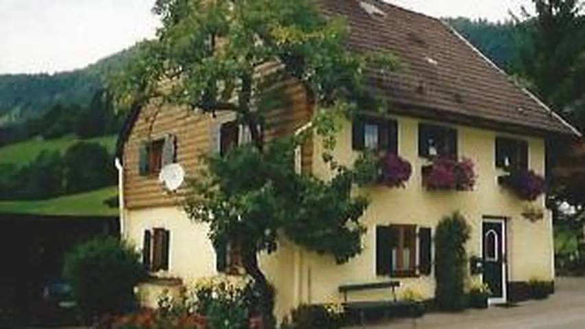 Ferienhaus für 8 Personen, mit Garten und Pool im Salzkammergut - 2