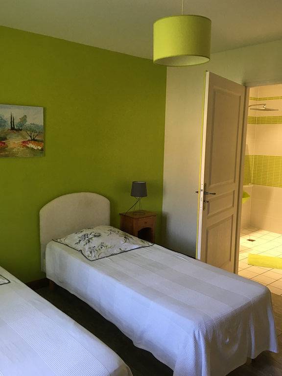 Gîte pour 15 personnes, avec jardin ainsi que terrasse et jacuzzi en Indre-et-Loire - 4