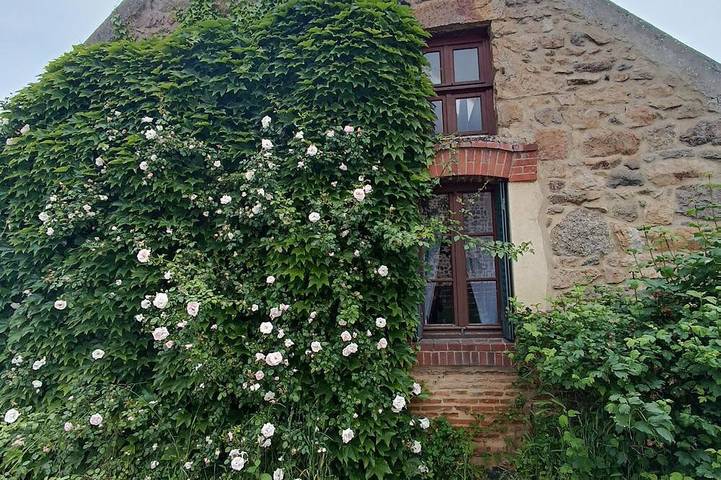 Ferienhaus für 4 Personen, mit Garten, mit Haustier - 1