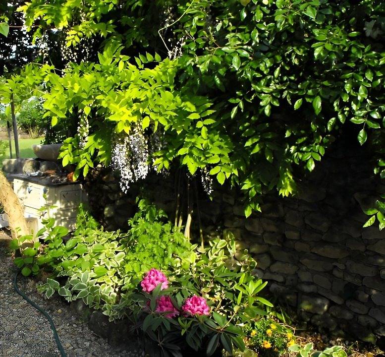 La Barrière - Chambre Val de Vienne in Ports-sur-Vienne, Région de Chinon