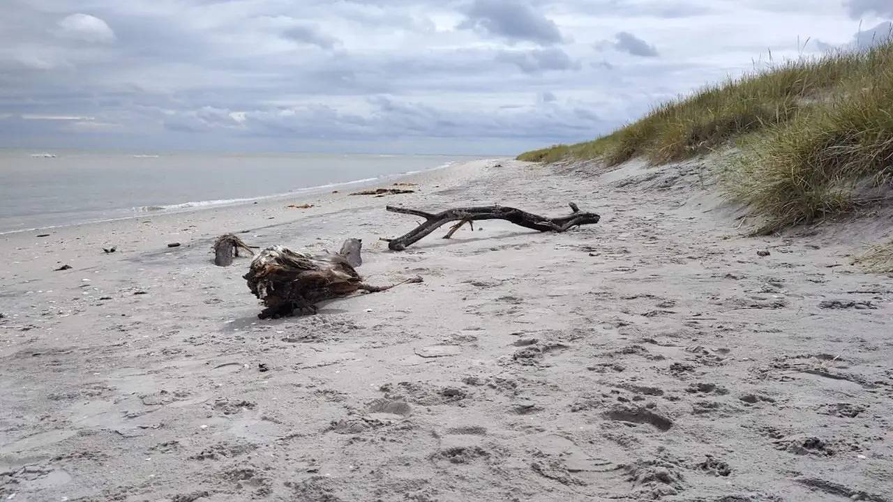Feriehus for 6 personer med terrasse in Sæby, Nordøstjylland