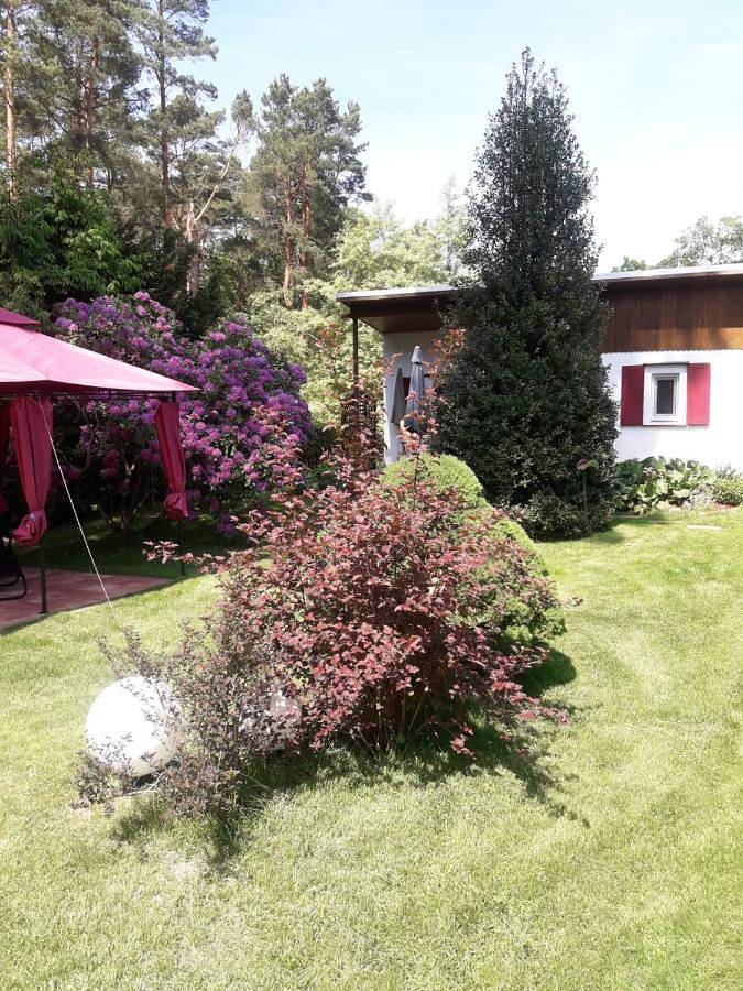 Ferienhaus für 2 Personen, mit Terrasse und Garten in Heidesee - 2