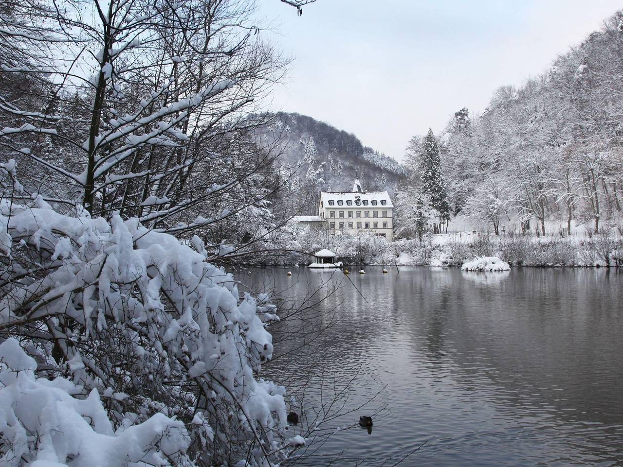Hotel Pfälzer Wald - Einzelzimmer Basic in Bad Bergzabern, Südliche Weinstraße