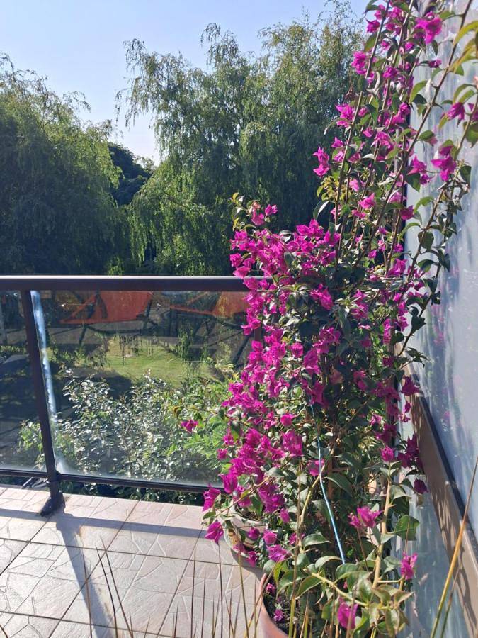 Chambre d’hôte pour 2 personnes, avec jardin ainsi que terrasse et vue à Saint-Martin-Boulogne - 2