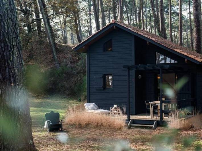 Location de vacances pour 4 personnes, animaux acceptés dans Étang de Cazaux et de Sanguinet - 2