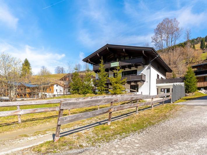 Hütte für 6 Personen, mit Terrasse und Sauna in Saalbach-Hinterglemm-Leogang - 2