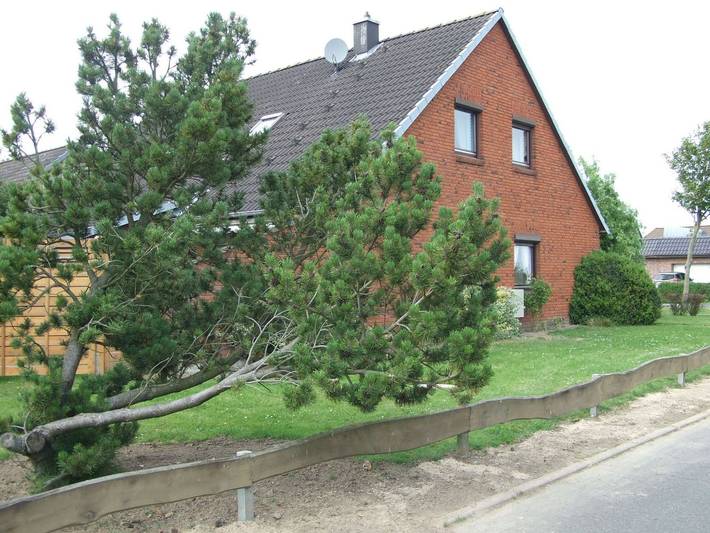 Ferienhaus für 5 Personen, mit Garten und Terrasse in Friedrichskoog - 4