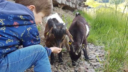 Ferienwohnung für 4 Personen, mit Whirlpool und Sauna sowie Garten in Sundern