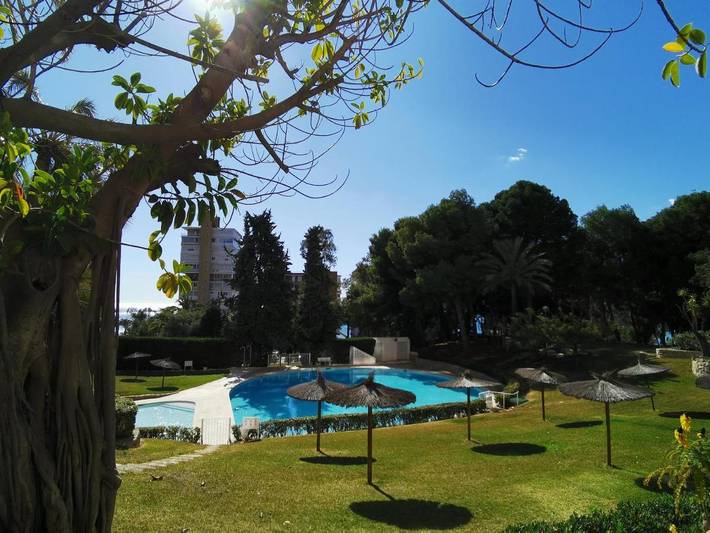 Holiday apartment for 6 people, with garden and view as well as terrace and pool, with pets - 1